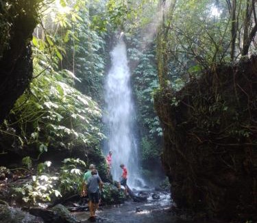 Tetebatu House | Tete batu golden coconut home stay