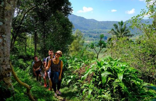 Klungkung Villa | The Green Sidemen