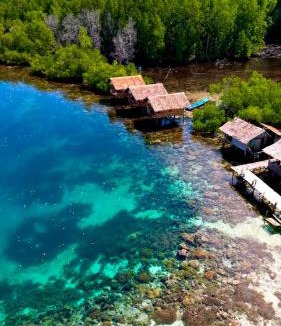 Arborek House | Korbekwan Homestay