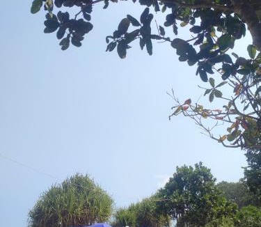 Cimerak Other | Ombak camping Madasari