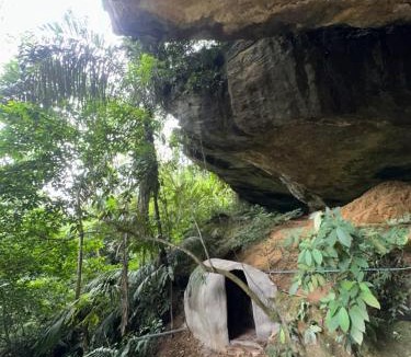 Bohorok Other | Stonehaven North Sumatra