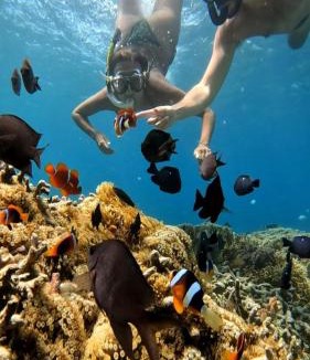 Sekotong Barat Hotel | Golden Beach Hotel Lombok