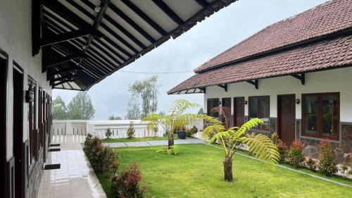 Ngadisari Hotel | Bawangan Express