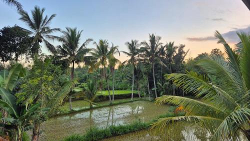 Tetebatu House | Arsilahomestay