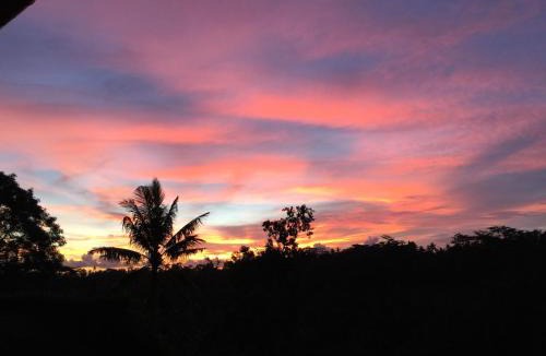 Kedewatan Resort | Ayuterra Resort