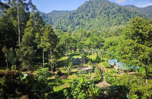Bohorok House | Bukit Lawang Batu Kapal Rimba House