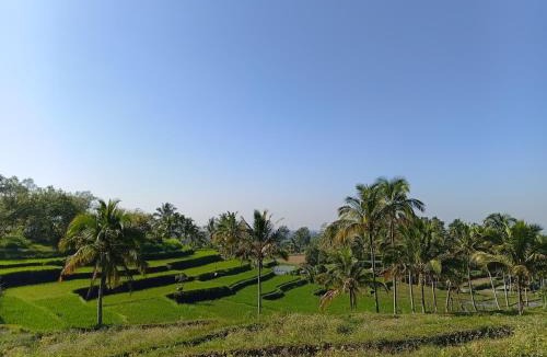 Kecamatan Montong Gading House | Moofa Homestay