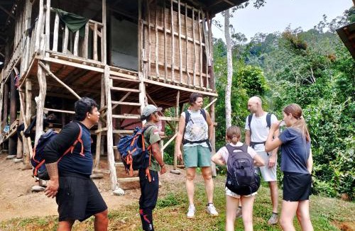 Bukit Lawang Cabin | ORANGUTANTREKSUMATRA & LOVELY JUNGLE LODGE only book IF you are treking with us