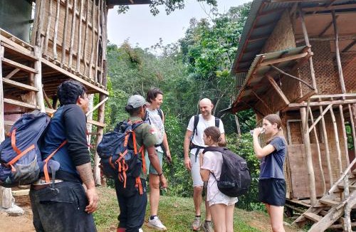 Bukit Lawang Cabin | ORANGUTANTREKSUMATRA & LOVELY JUNGLE LODGE only book IF you are treking with us