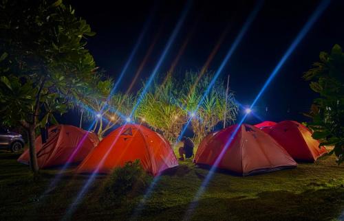 Cimerak Other | Sewa Tenda Pantai Madasari