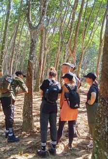 Bukit Lawang House | Bukit Lawang Wonders Lodge - Jungle Trekking & Transport