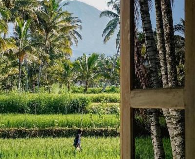 Tetebatu Hotel | Les Rizieres Lombok