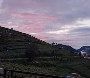 Dieng Kulon Cabin | Carika Cabin