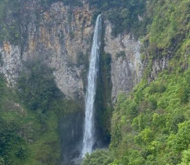 Bohorok Hotel | Batu Katak Jungle River & Trekking