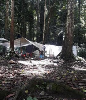 Ketambe House | Homestay badget