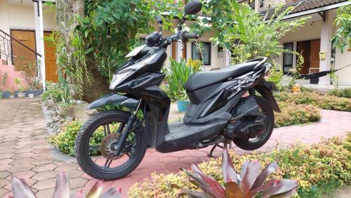 Senggigi House | Whiterose Guesthouse