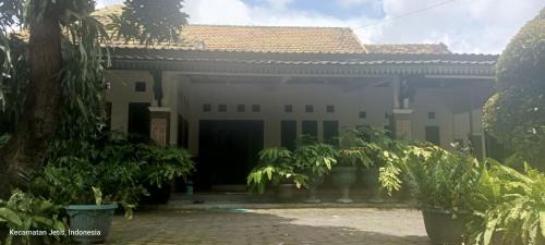 Jetis House | Adiyantum Homestay