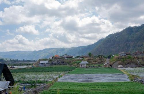 Songan Hotel | Batur Kencana Villa Mitra RedDoorz