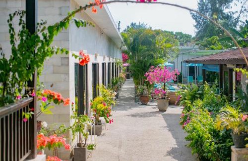 Gili Meno Resort | Kura Kura Resort Gili Meno