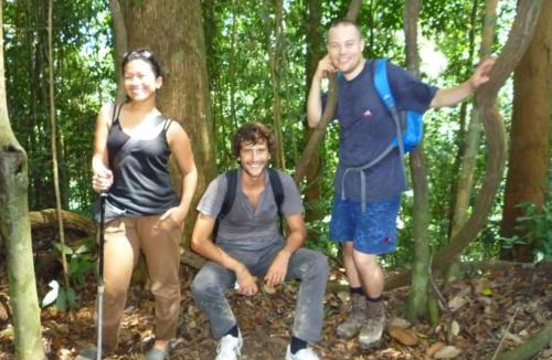 Bukit Lawang House | WOOD CABIN LODGE IN THE FOREST book here treking with us