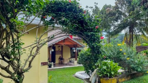 Bohorok House | Sumatra Monkey Trekking