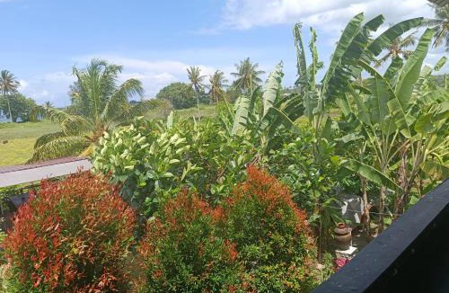Pemenang House | The Daun Puntik HomeStay