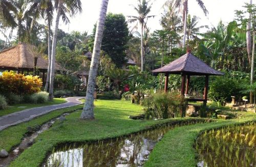Singakerta Villa | Villa Semana Resort & Spa