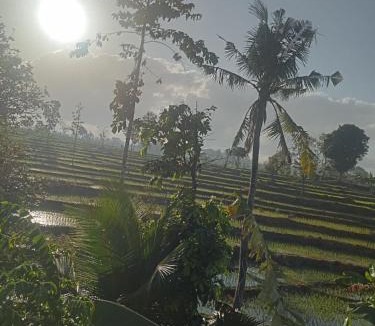 Kecamatan Praya Barat Daya House | bulan homestay