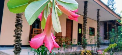 Riung Bed & Breakfast | Lonthar B&B - Adults Only
