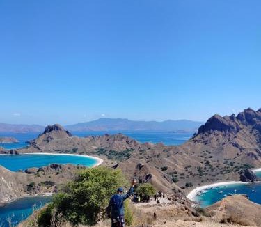 Komodo House | Atta komodo homestay