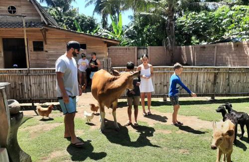 Tejakula Villa | Camplung Beach Family Villa and Farmstead