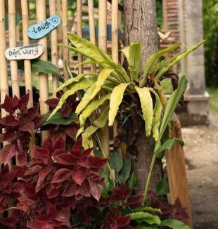 Tetebatu House | Citra Homestay