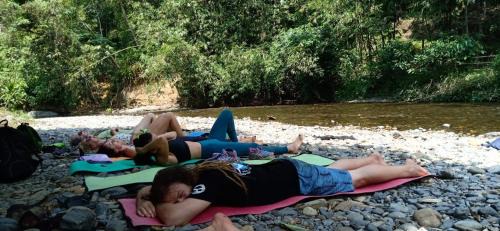 Bohorok Other | Bukit Lawang Lodge