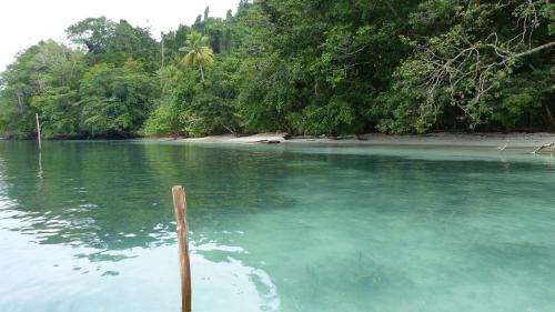 Sageurin House | Raja 4 Nature Lodge