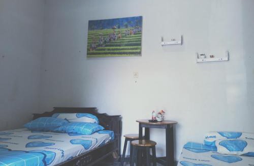 Sidoarjo House | Kost Backpacker