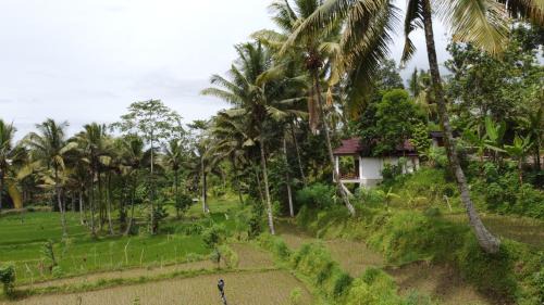 Tetebatu Cabin | Nea Cottage Lombok