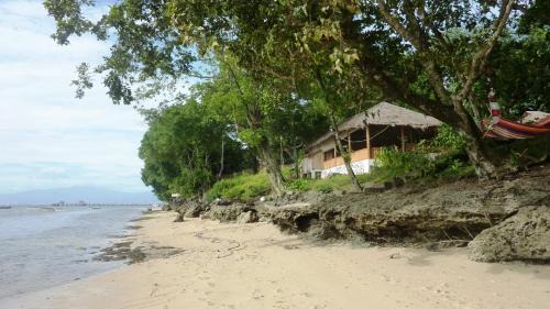Bunaken Resort | Raja Laut Dive Resort Bunaken