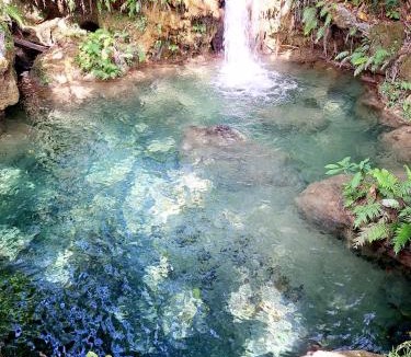 Waingapu House | Hars Garden Sumba
