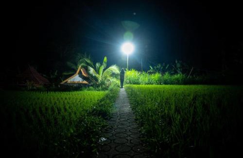 Tetebatu House | Wina Wani Bungalows Tetebatu