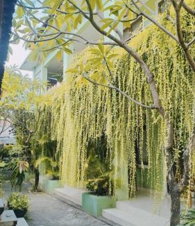 Kuta House | PURNAMA HOUSE KUTA
