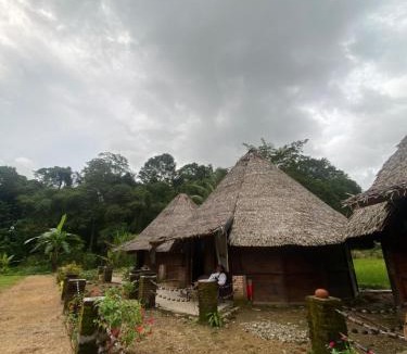 Cempae Resort | Pekkae ecolodge and cafe