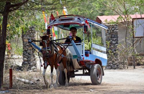 Gili Meno Resort | Divine Divers Gili Meno
