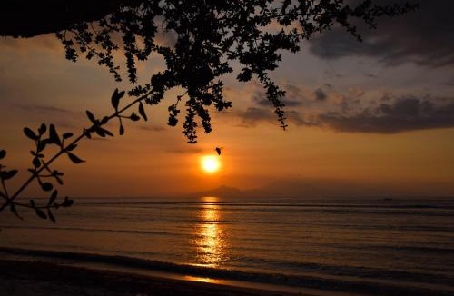 Gili Meno Resort | Divine Divers Gili Meno