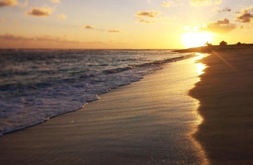 Rote Island Resort | Boa Hill Surf House