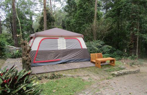 Sarangan Resort | Lawu Forest Camp