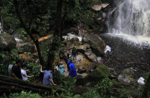 Merek Resort | Taman Simalem Resort