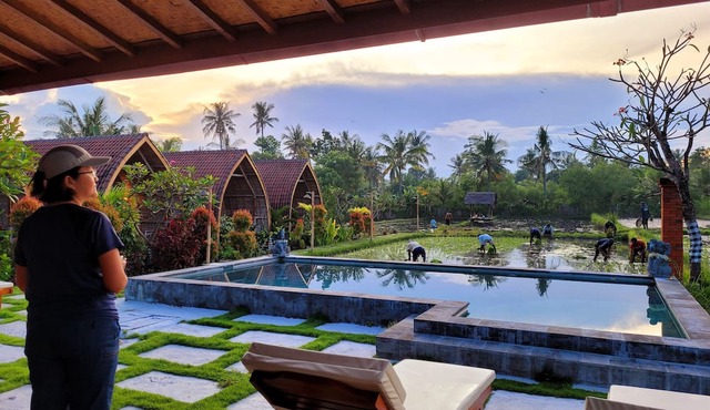 Umma Bali Menjangan