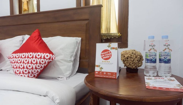 OYO 801 Hansa Homestay