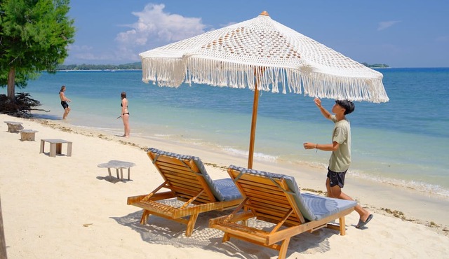 Jungle Gili Air