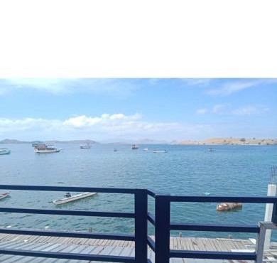 Komodo Homestay